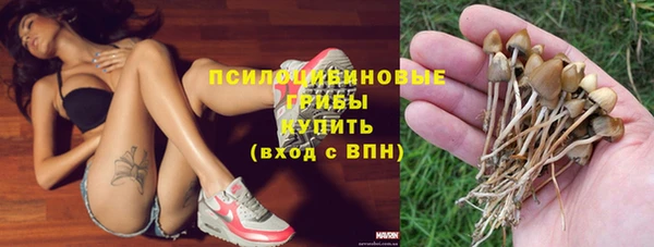 мяу мяу кристалл Алексин